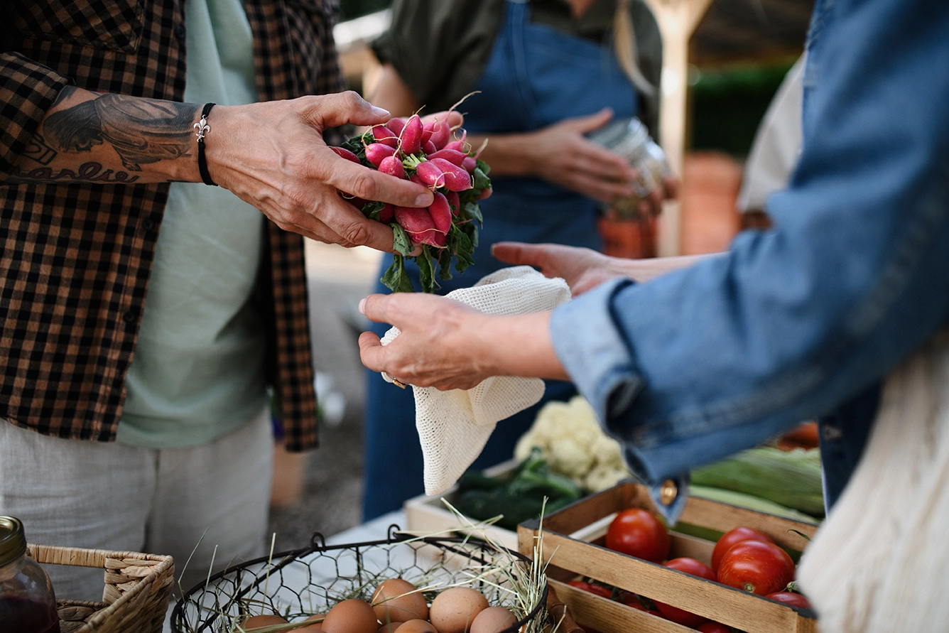 fresh-veggies-from-market